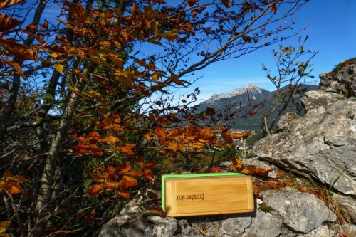 mei-marend Brotzeitbox