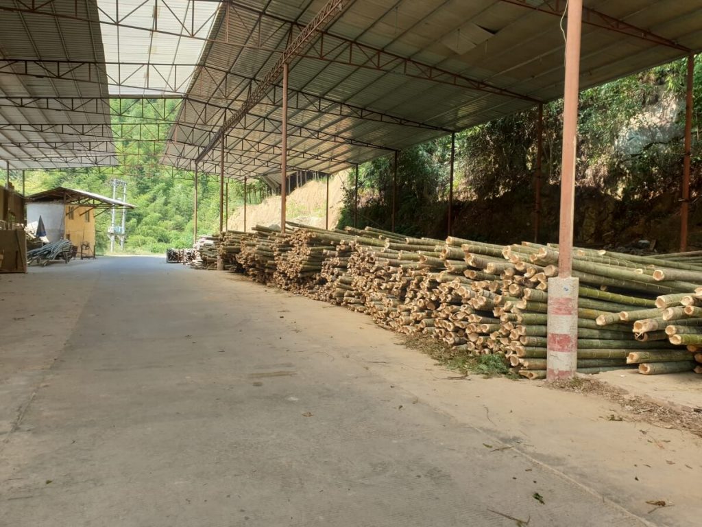 Bambusstämme im Außenlager - Standort: Werk unseres Bambuslieferanten, in welchen die Rohproduktion erfolgt